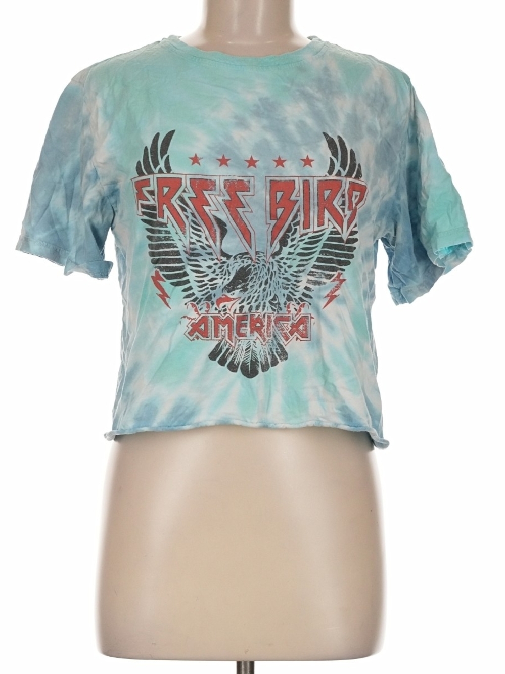 freebird America Tie-Dye Crop T-Shirt - Aqua/Blue